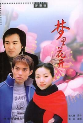 梦里花开封面图