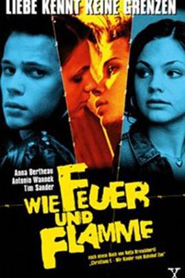 如火似焰封面图