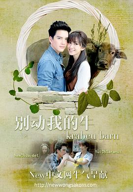 别动我的牛封面图