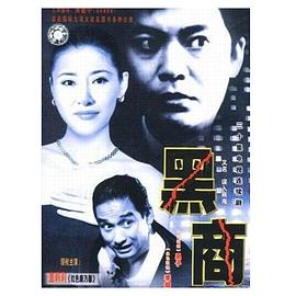 误入商海封面图