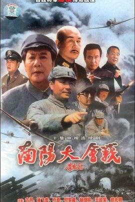 南阳大会战封面图