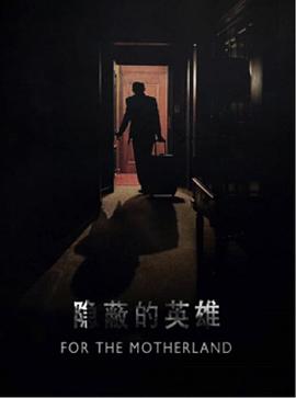 隐蔽的英雄封面图