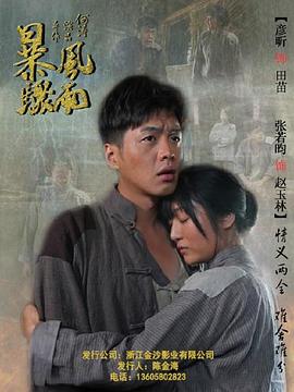 暴风骤雨封面图