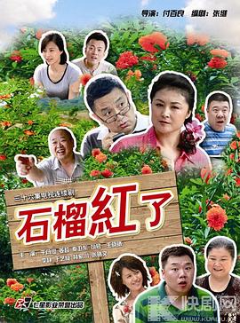 火红的日子封面图