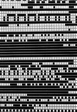 阿纳夫·莱纳封面图