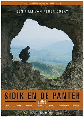 寻找波斯豹封面图