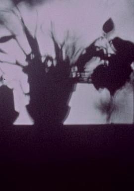 星辰美丽封面图