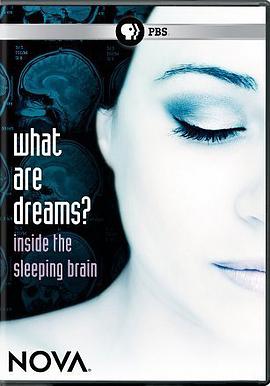 新星：什么是梦封面图