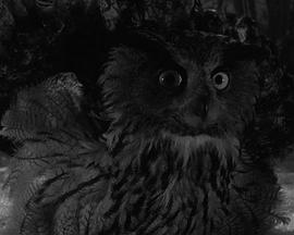 一个被隔绝的世界封面图