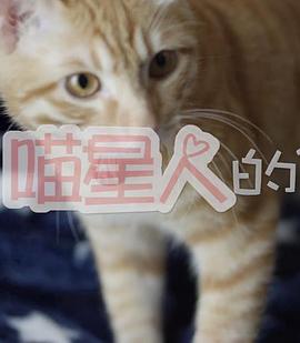 和喵星人的21天封面图