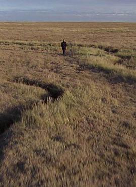 自然世界：艾塞克斯原野封面图