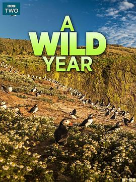 乡野四季封面图