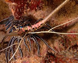 大海的风景封面图