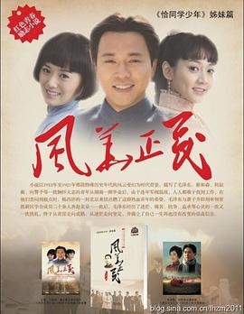 风华正茂封面图