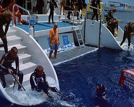 极度下潜封面图