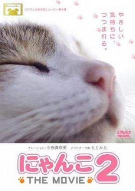 猫咪物语2封面图