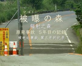 辐射之森~核电站事故第五年的纪录~封面图
