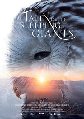 沉睡的巨人封面图