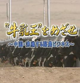 沸腾的中国乳业封面图