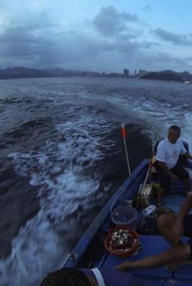 他们的海封面图