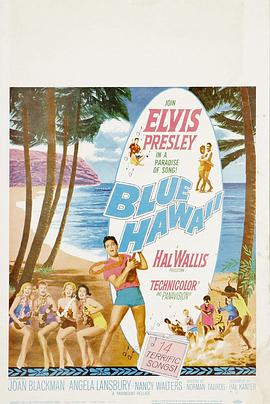 蓝色夏威夷封面图