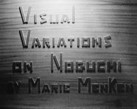 野口视觉变奏曲封面图