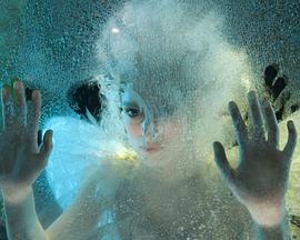 自杀兄弟的持久悲剧封面图