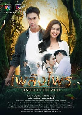 丛林之火封面图