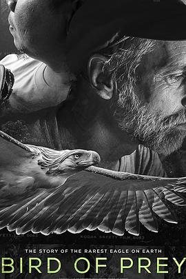 Bird of Prey封面图