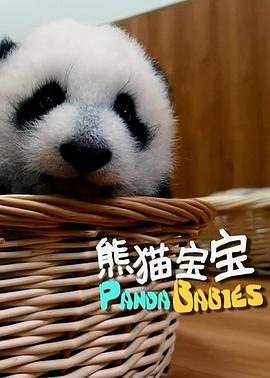 熊猫宝宝封面图