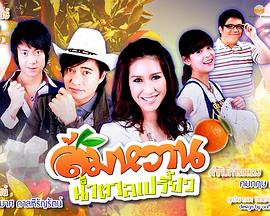 甜橙与酸糖封面图