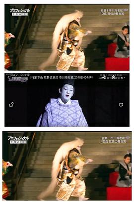 行家本色：歌舞伎演员 市川海老藏封面图