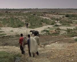 国家地理.河流与生命系列之恒河封面图