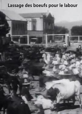 驱赶耕牛封面图