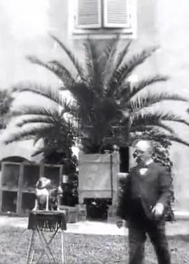 会唱戏的狗：平衡封面图