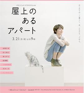 屋顶的公寓封面图