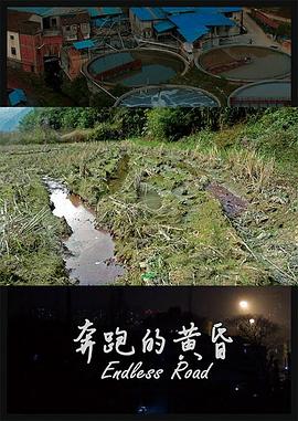 奔跑的黄昏封面图