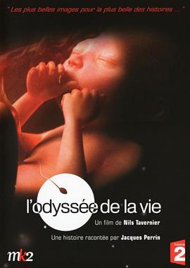 生命之旅封面图