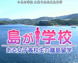 小岛即学校 女高中生的离岛留学封面图