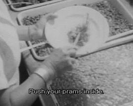 梦幻世界封面图