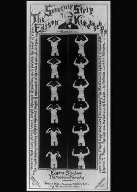 胚胎植入前遗传学筛查封面图