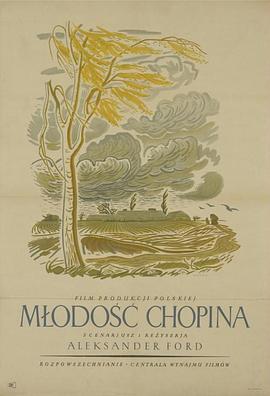 肖邦的青年时代封面图