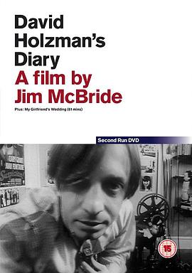 大卫的日记封面图