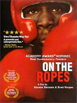 拳击少年封面图