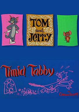 胆小的猫咪封面图