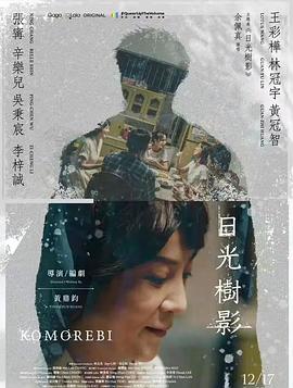 日光树影封面图