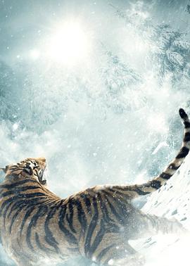 智取威虎山电影纪录片之打虎上山封面图