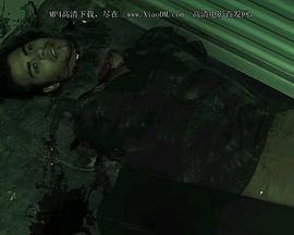 木乃伊女士的诅咒封面图