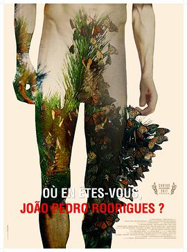 此刻你站在哪里封面图