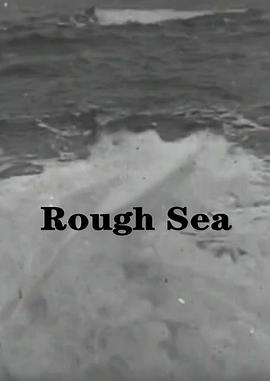 狂暴的大海封面图